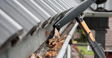 Gutter Cleaning